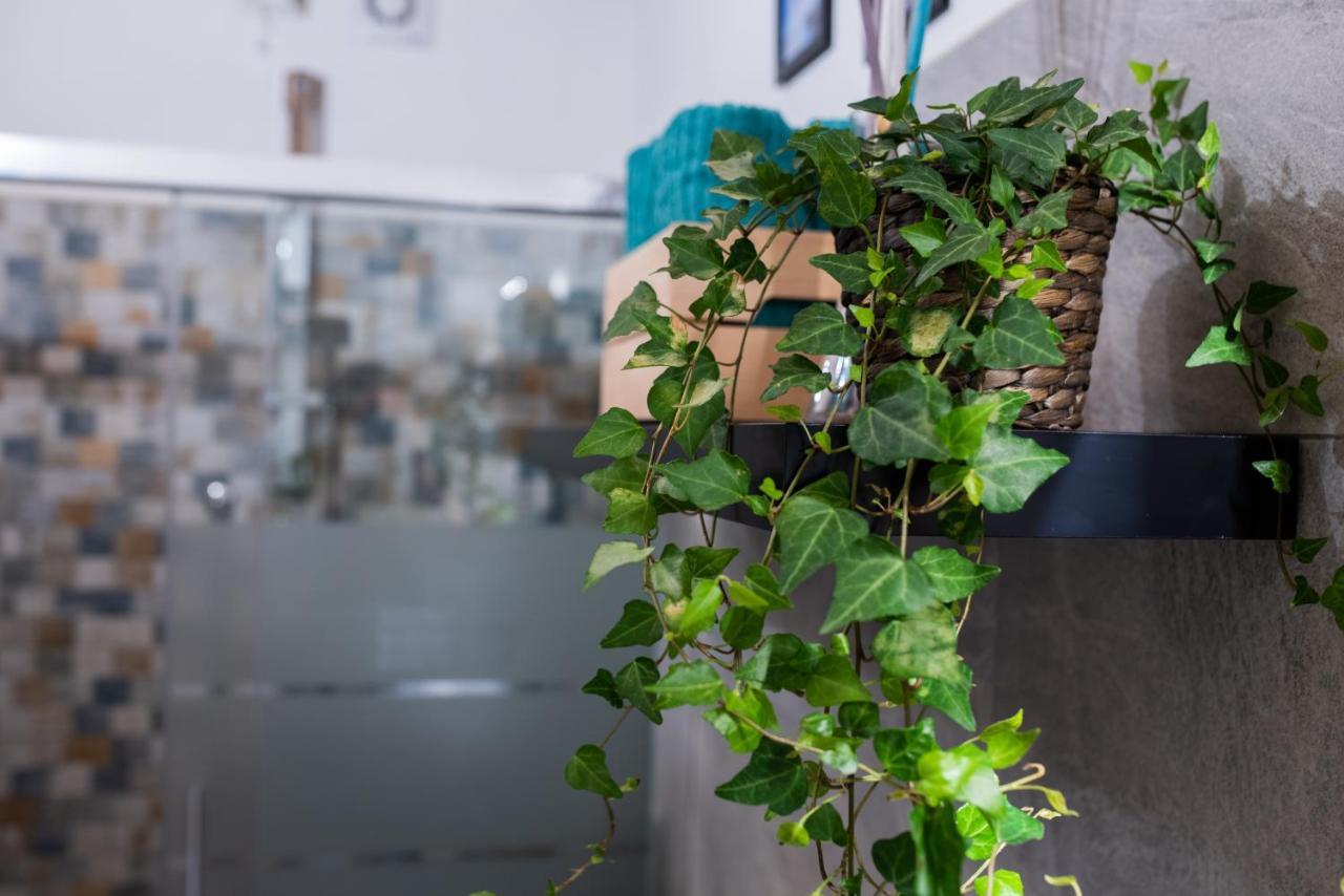 Villa Margherita Ecolodge Crespino エクステリア 写真