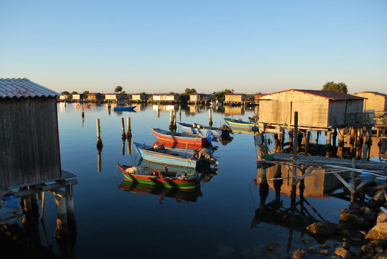 Villa Margherita Ecolodge Crespino エクステリア 写真